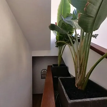 Myhome Urban Apartment